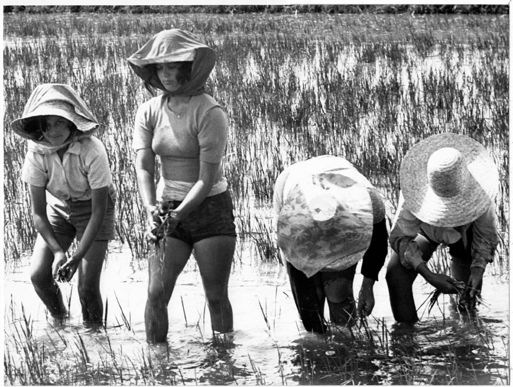 Enrico Pasquali e la vita quotidiana della campagna e montagna emiliano-romagnola